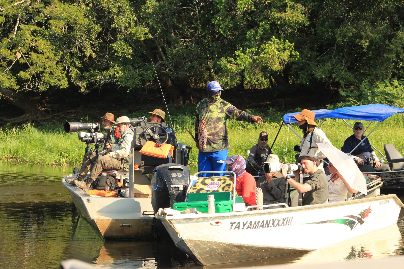 Exploring the biodiversity of the Pantanal