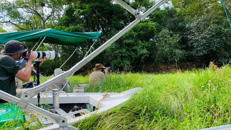 Ecotourism in the Pantanal