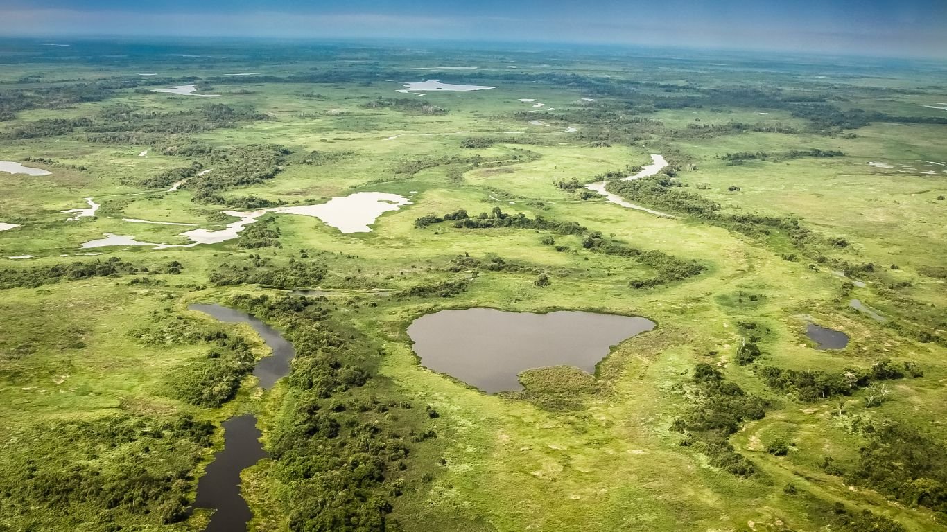 Difference between south and north pantanal