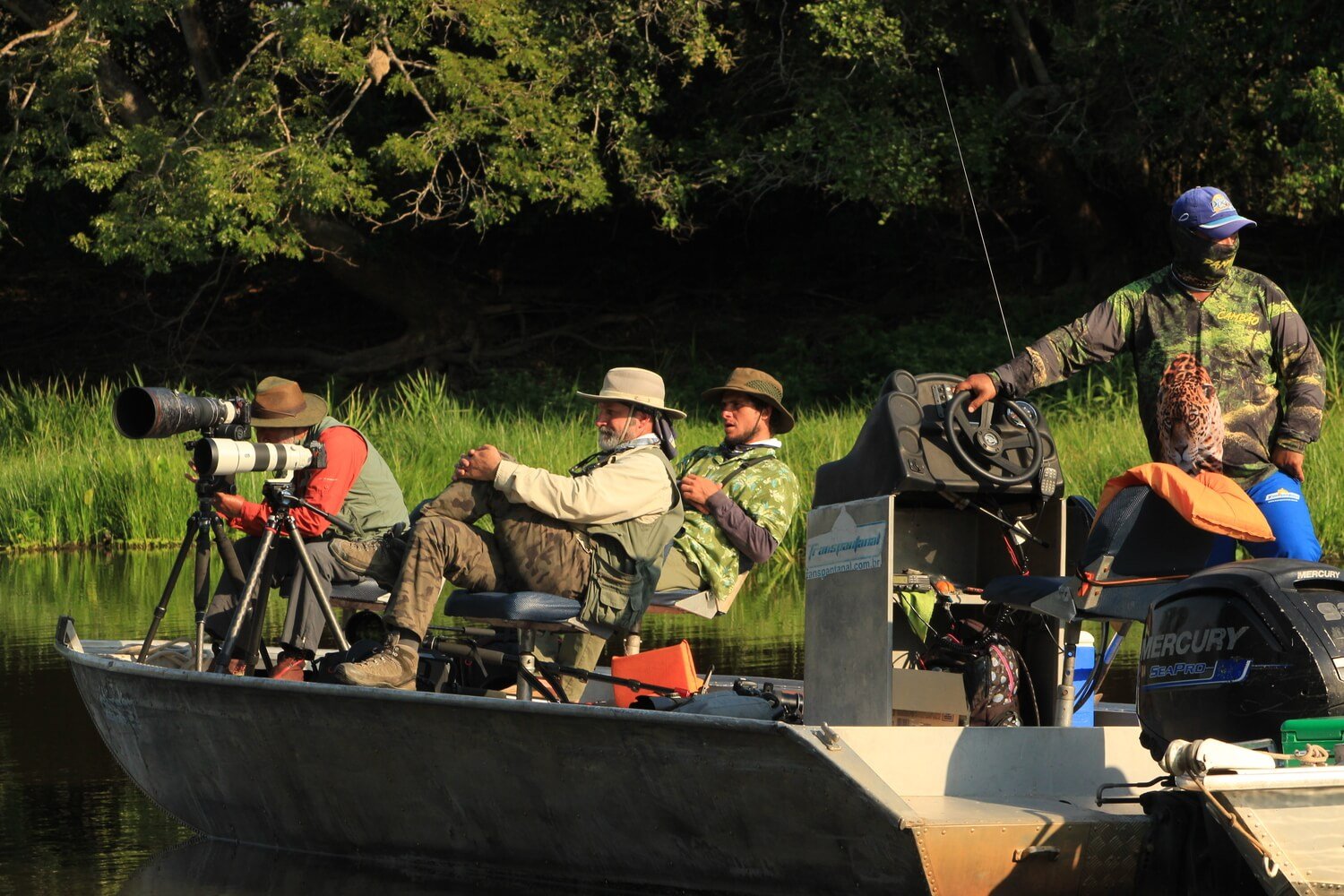 Pantanal Jaguar Safaris 6 Days in BrazilPhoto #6 